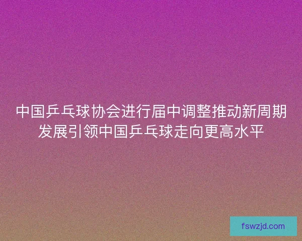 中国乒乓球协会进行届中调整推动新周期发展引领中国乒乓球走向更高水平